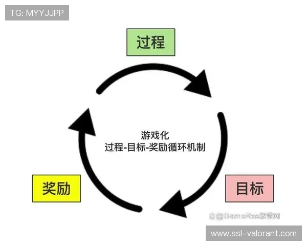 用户反馈循环机制建立，持续迭代优化内容与服务